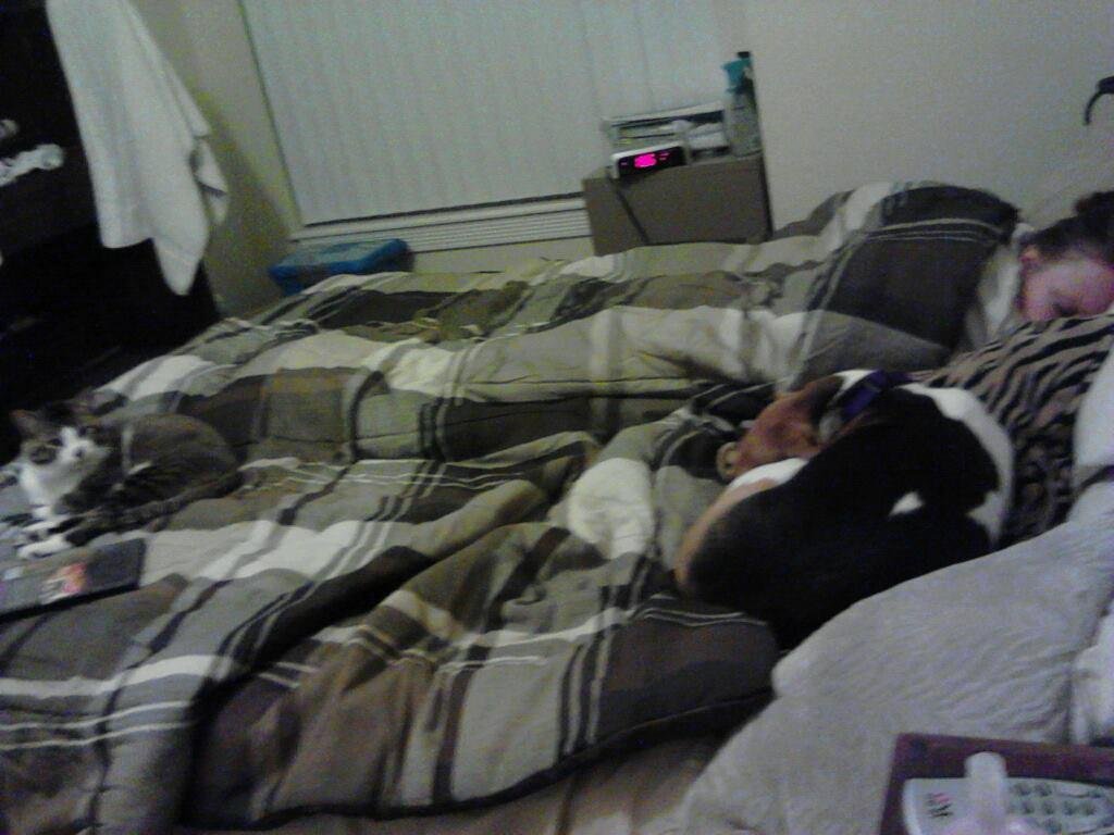 Where to sleep? That is the question,
