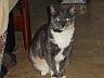 Paul Casale's album, Timeline Photos