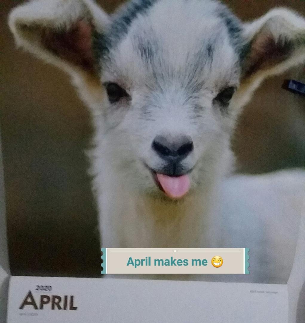 My calendar makes me smile!!😁