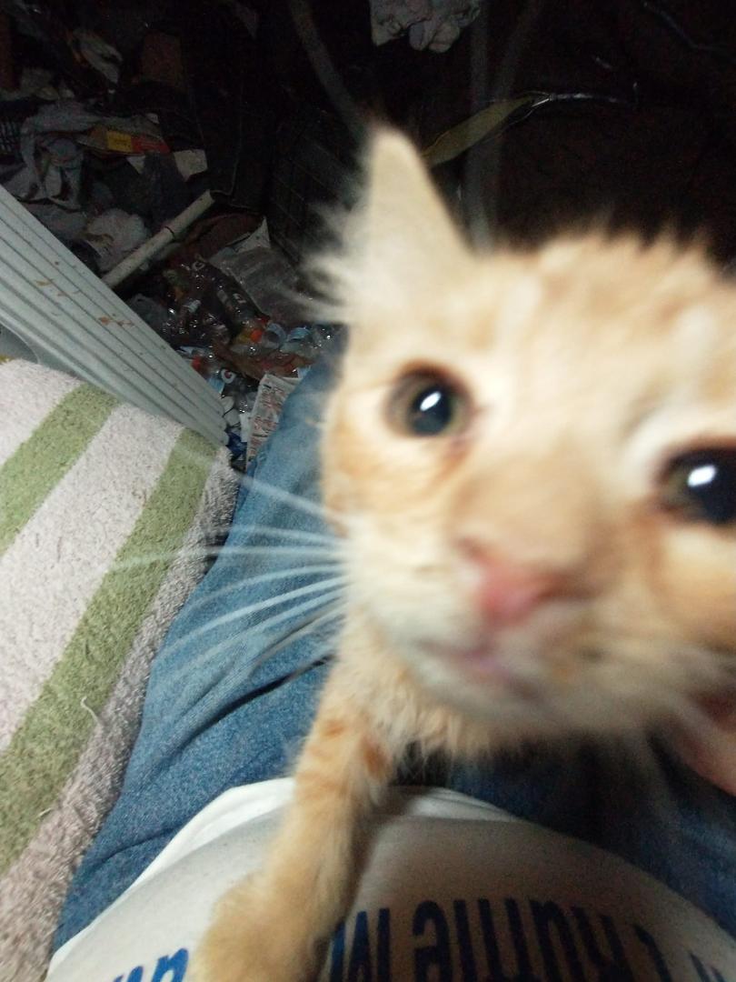 Asking for any ideas on a name for the little guy