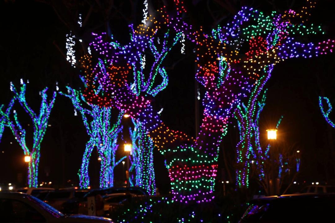 Merry Christmas too all my friends North and South. Dana Point all lit up.