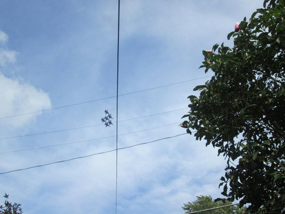 Relaxing at home watching the Blue Angels Fly above