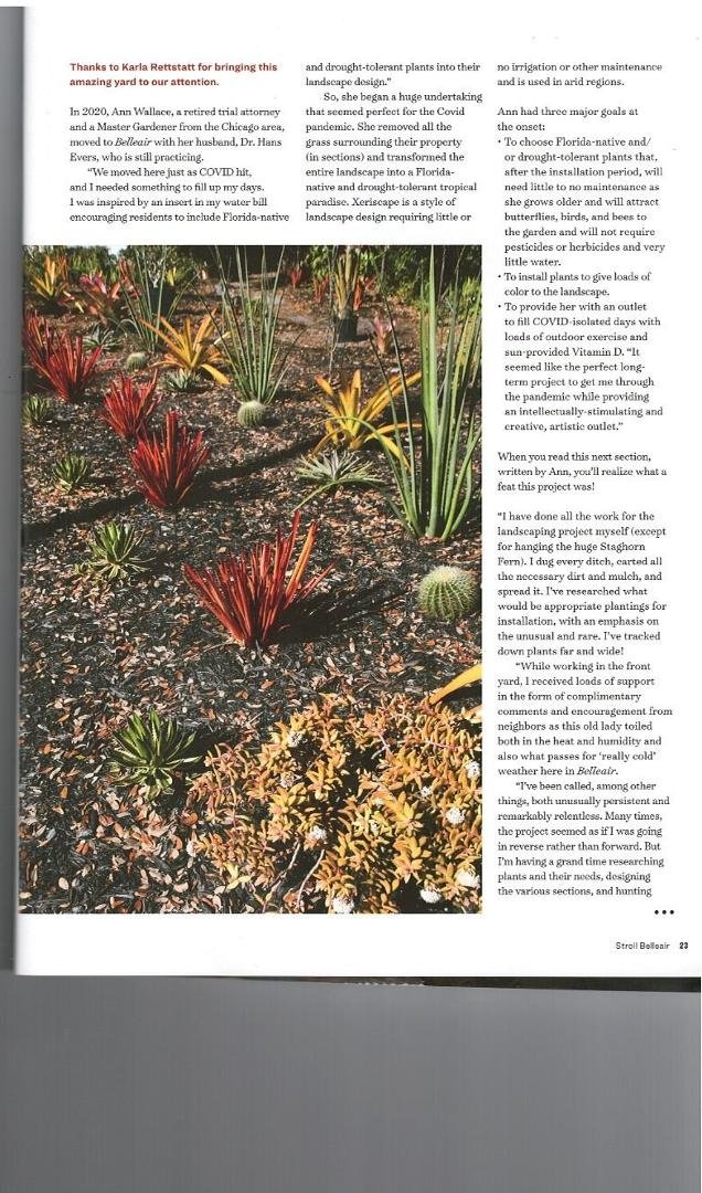Page 2 of Magazine article