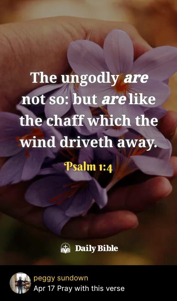 Peggy Sundown's album, Timeline photos