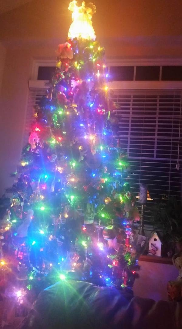 Last Christmas, I was a vagabond. My tree this year.