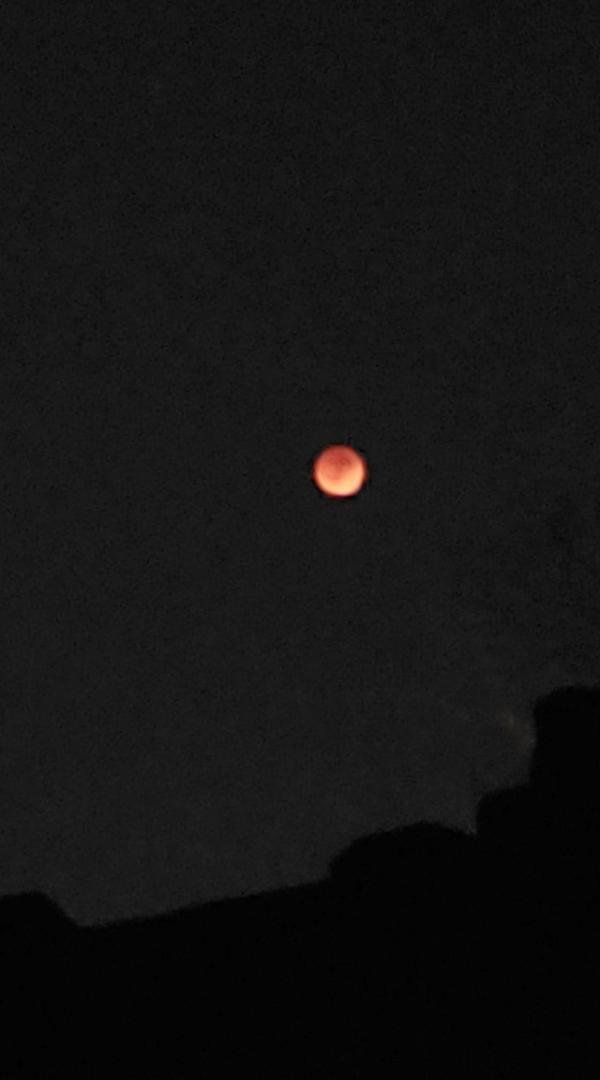 Cell phone pic.