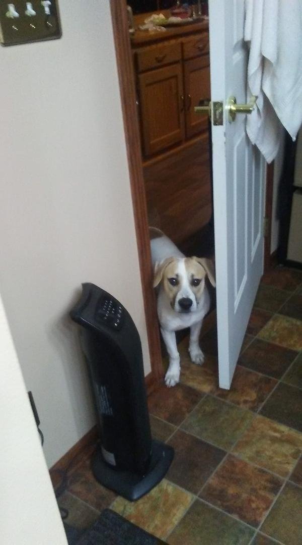 " So there you are ..I thought you ran away since I haven't seen you in almost 30 seconds"