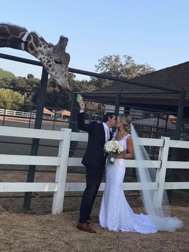 Meet Stanley the giraffe. He had so much fun at the wedding.