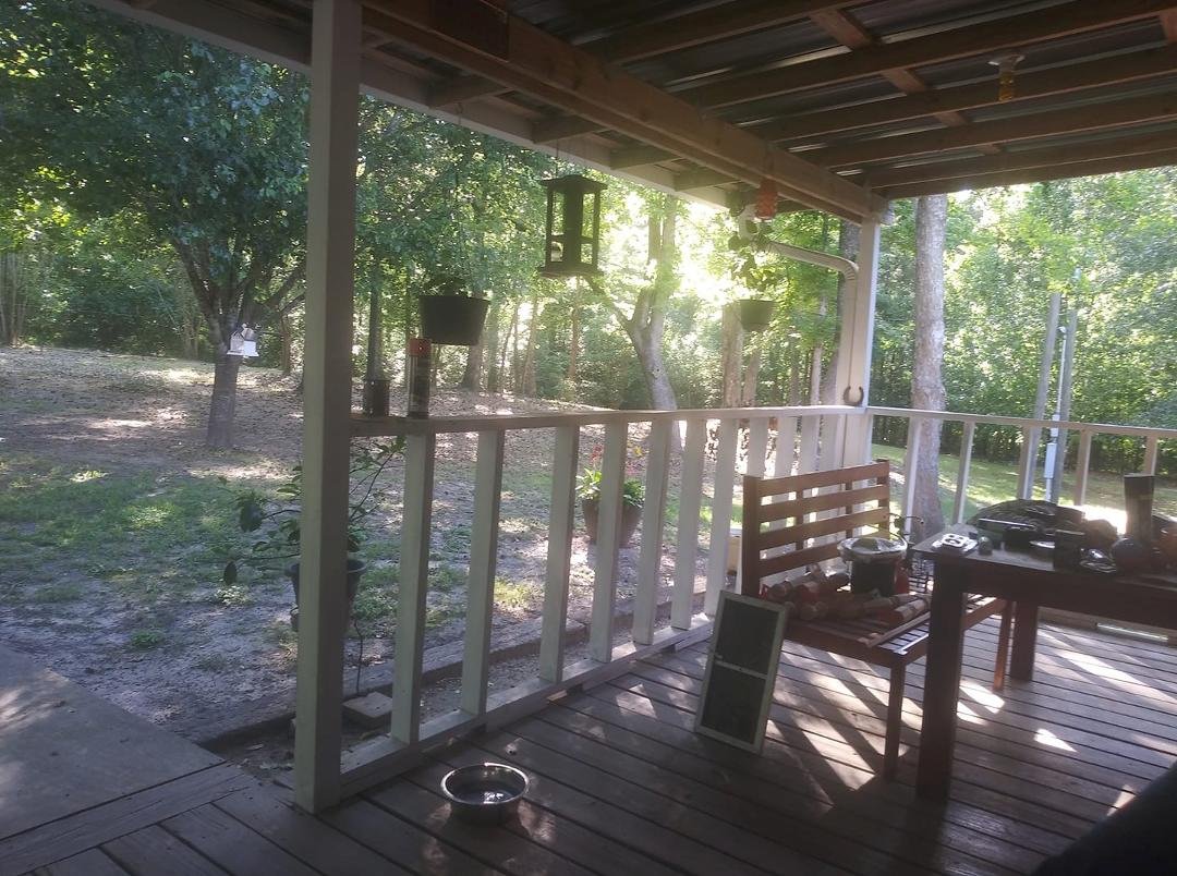 The other half of my front yard