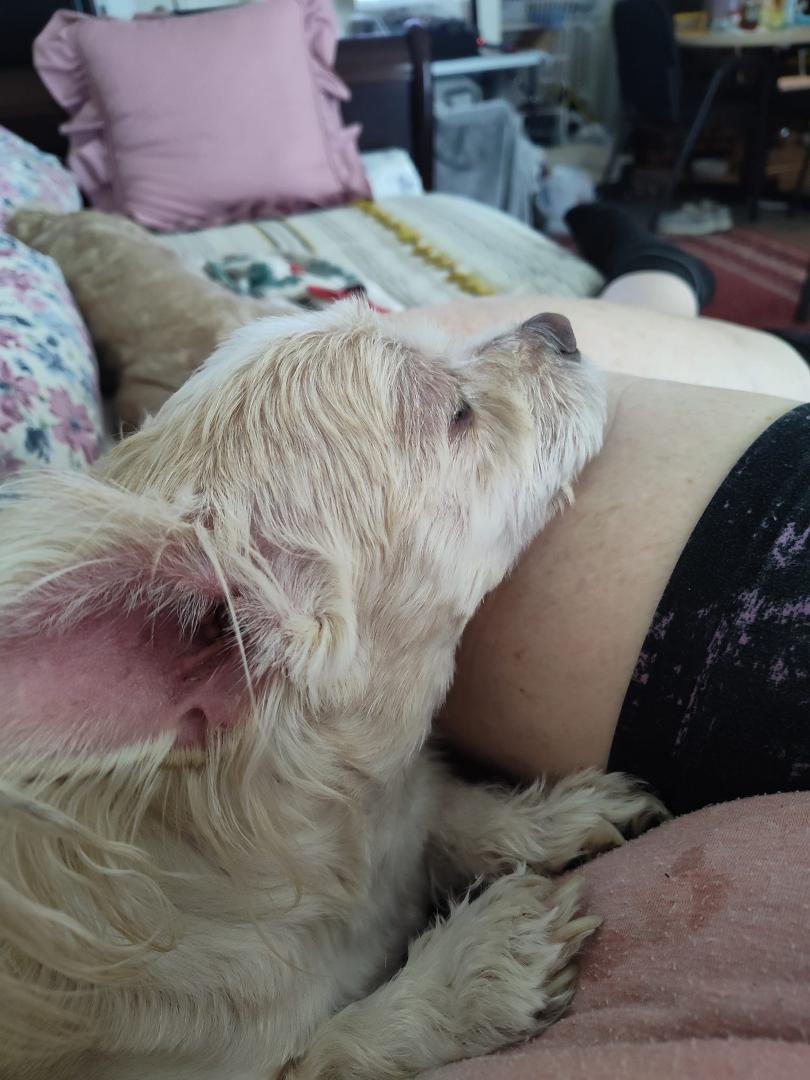 I don't think this boy can get any closer to me, no matter where I'm at he's either following me or up and under me somehow or another.