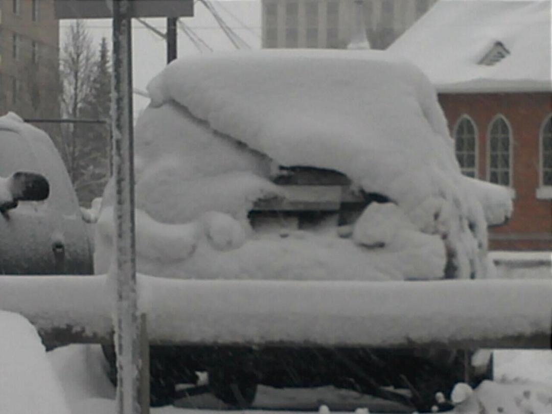 Snow Day in Edmonton on Nov. 7th. Just for my buddy Dave in LV to remind him of winter back home in Mass. USA.