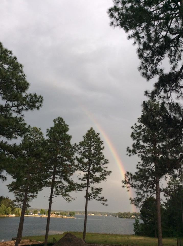 After the first rain last night. Taken from deck steps.
