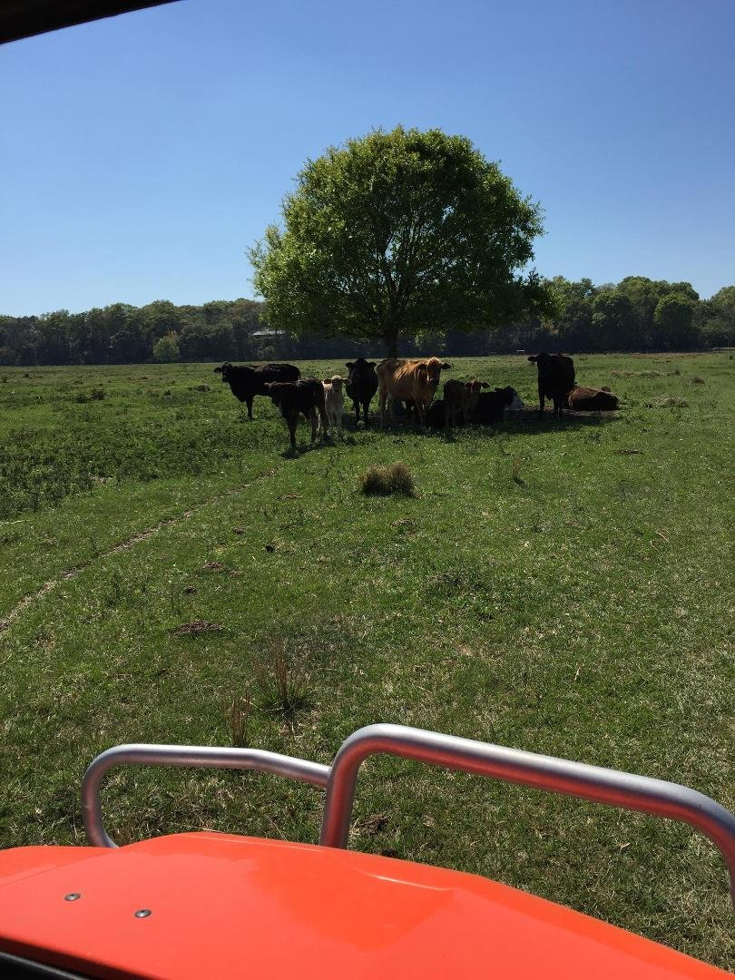 Our new friends!
