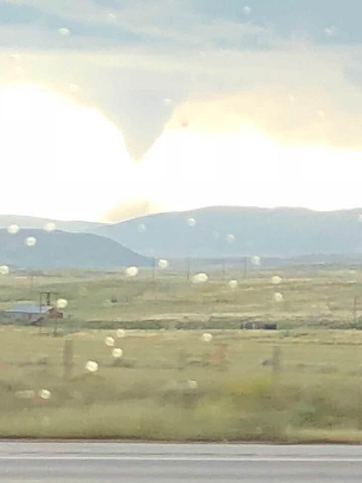 Look what we saw today!