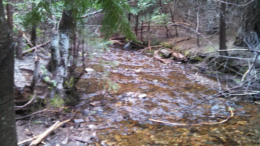 Our mining claim in Tuolumne County.