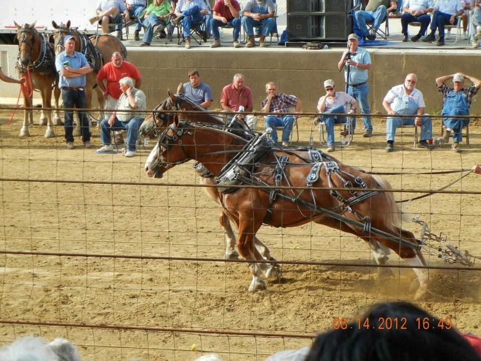 Horse Pull State Fair