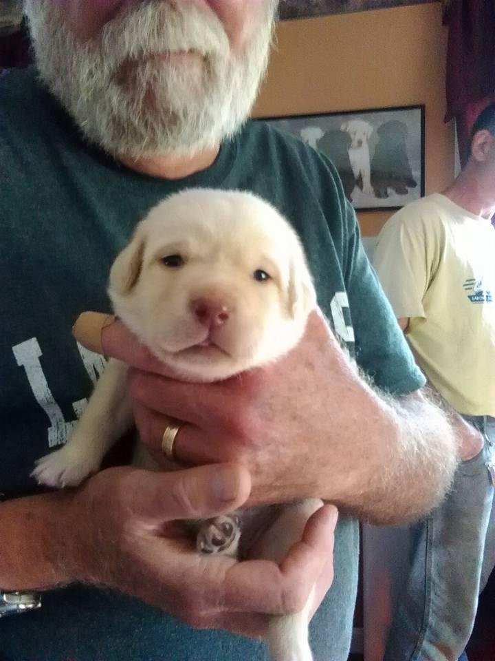 This is Grace.She comes home in September.