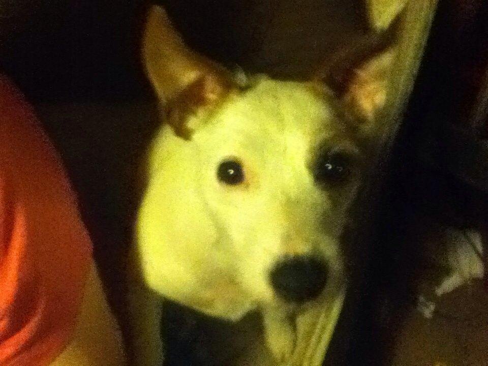 My precious baby