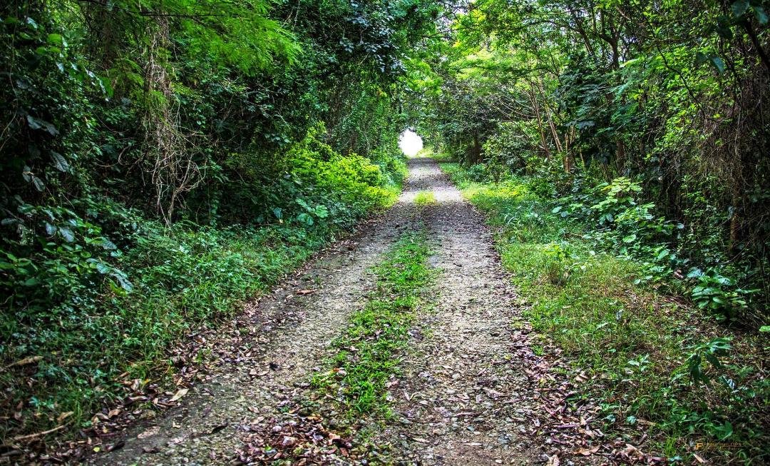 There's always light at the end of the tunnel. Follow the light!