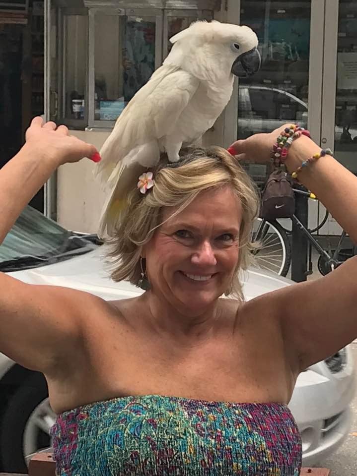 Had so much fun with this silly bird