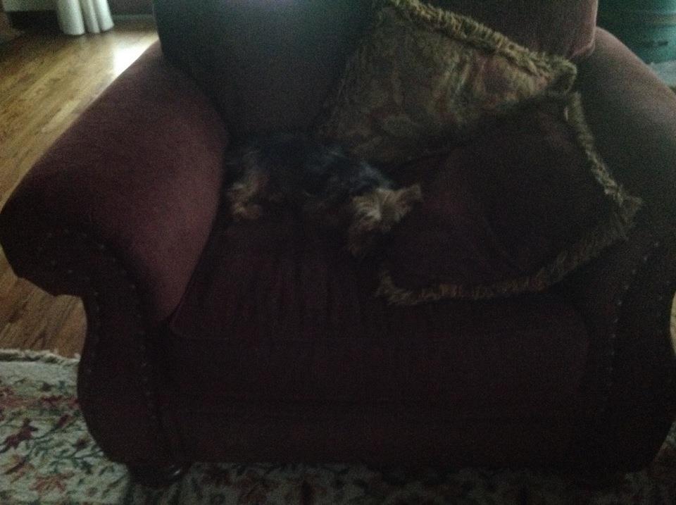 How can they sleep?