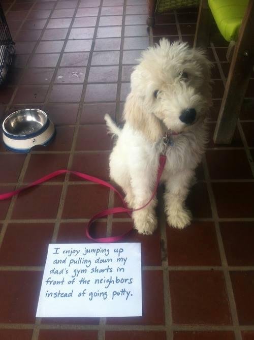 Patsy Miessler's album, Timeline Photos