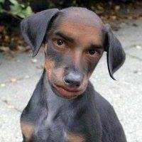 I'm lost. Do I go to an orphanage or a pet shelter? Damn if I know.