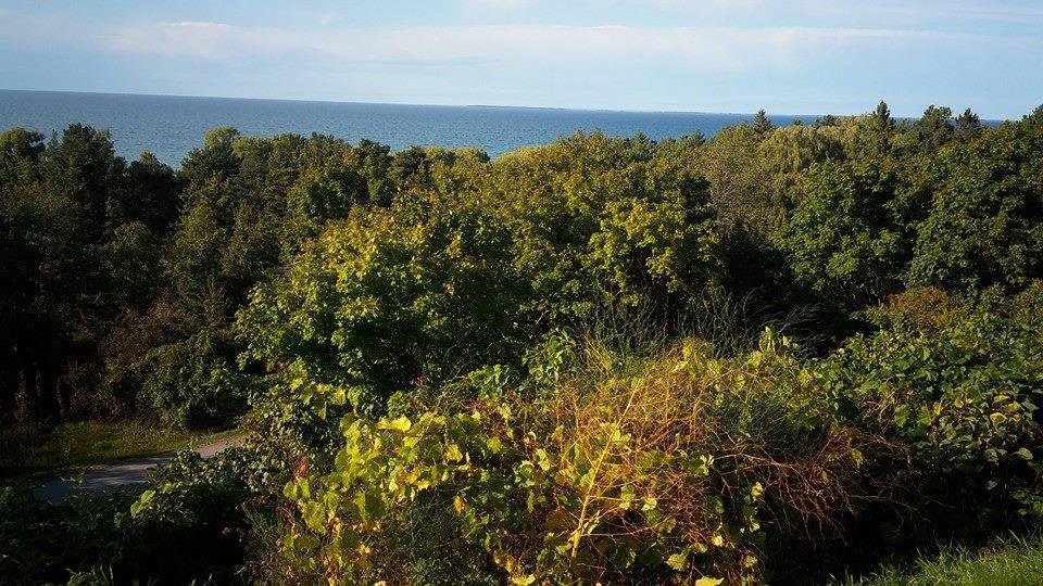 The view tonight from dinner on the patio near Harbor Springs, Michigan