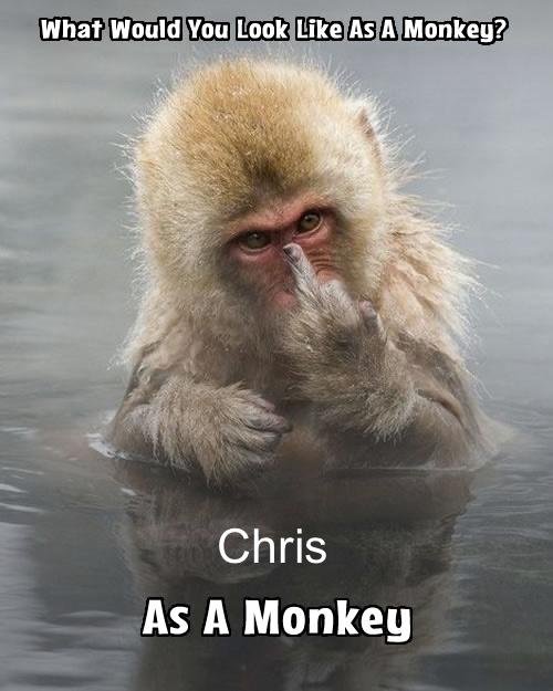 Christopher McLaughlin's album, Mobile uploads