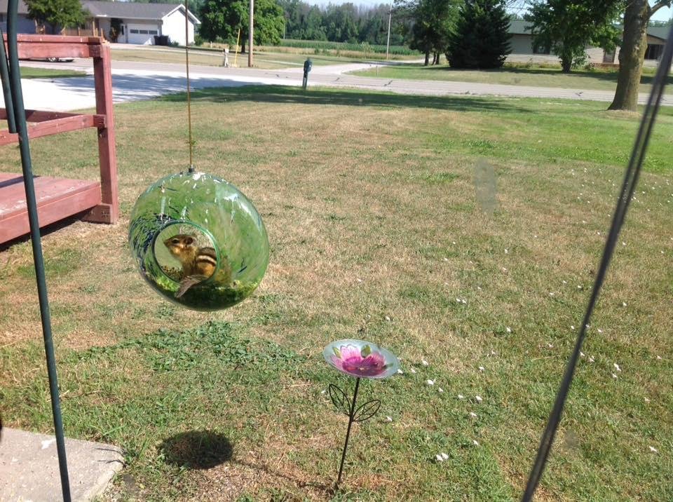 Marlene Cramer's album, Mobile Uploads