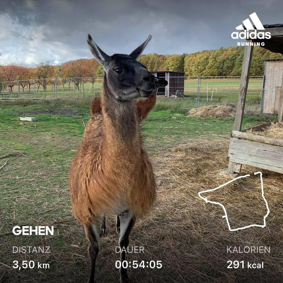 Seen these guys in the field! Was a nice Walk.