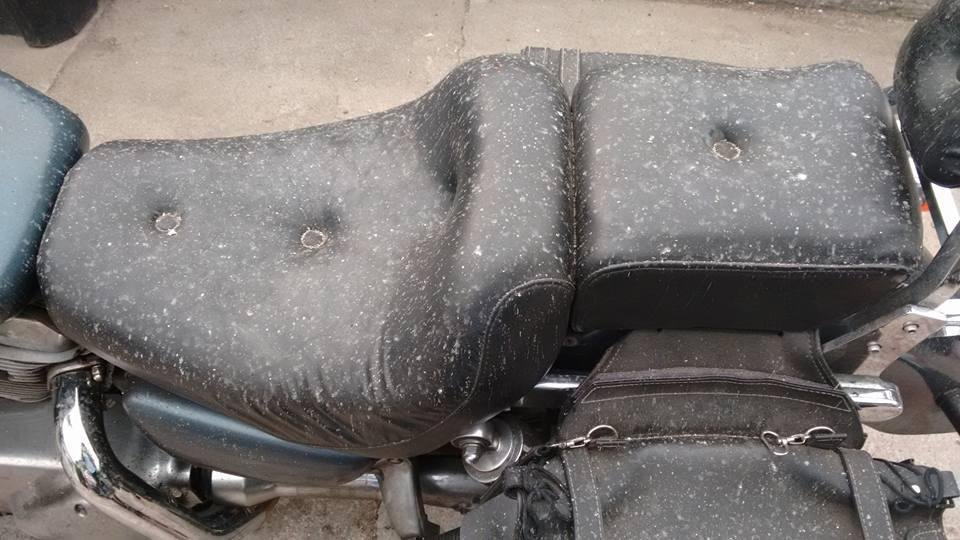 Every thing is covered with ash.