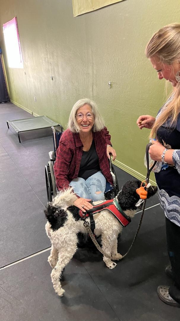 Barb helping train service dogs.
The wheelchair is an accessory.
