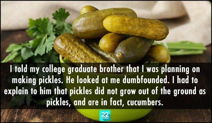 Pickle trees!!