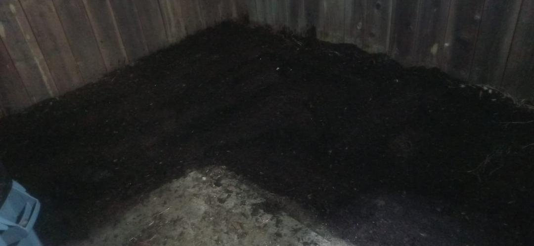 I know it's a little dark, but I have deweeded my back yard and put down the soil. Tomorrow first thing in the morning I will finaly plant the seeds.