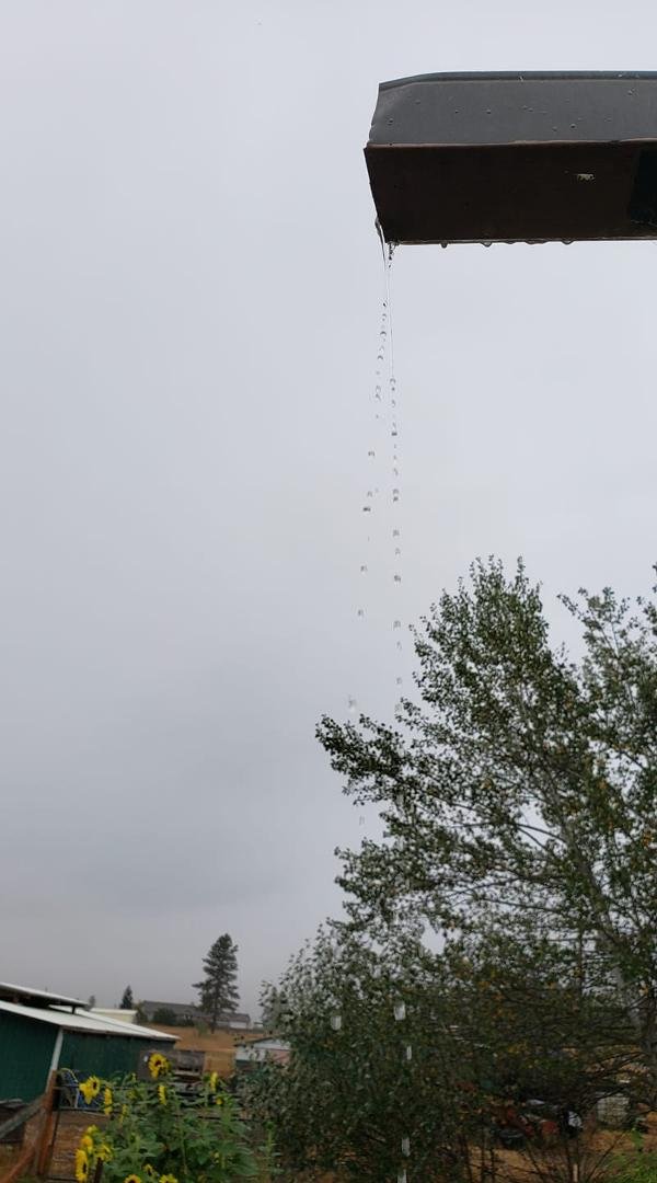 That, my friends, is a blessing. We've finally had some rain! Not a lot, but it's continuing to sprinkle, bringing encouragement with each drop.