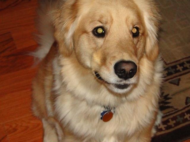 Jeff (Moose) Coates' album, Timeline Photos