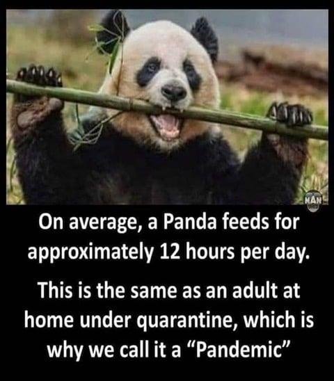 Deej Martinson Henson's album, Timeline Photos