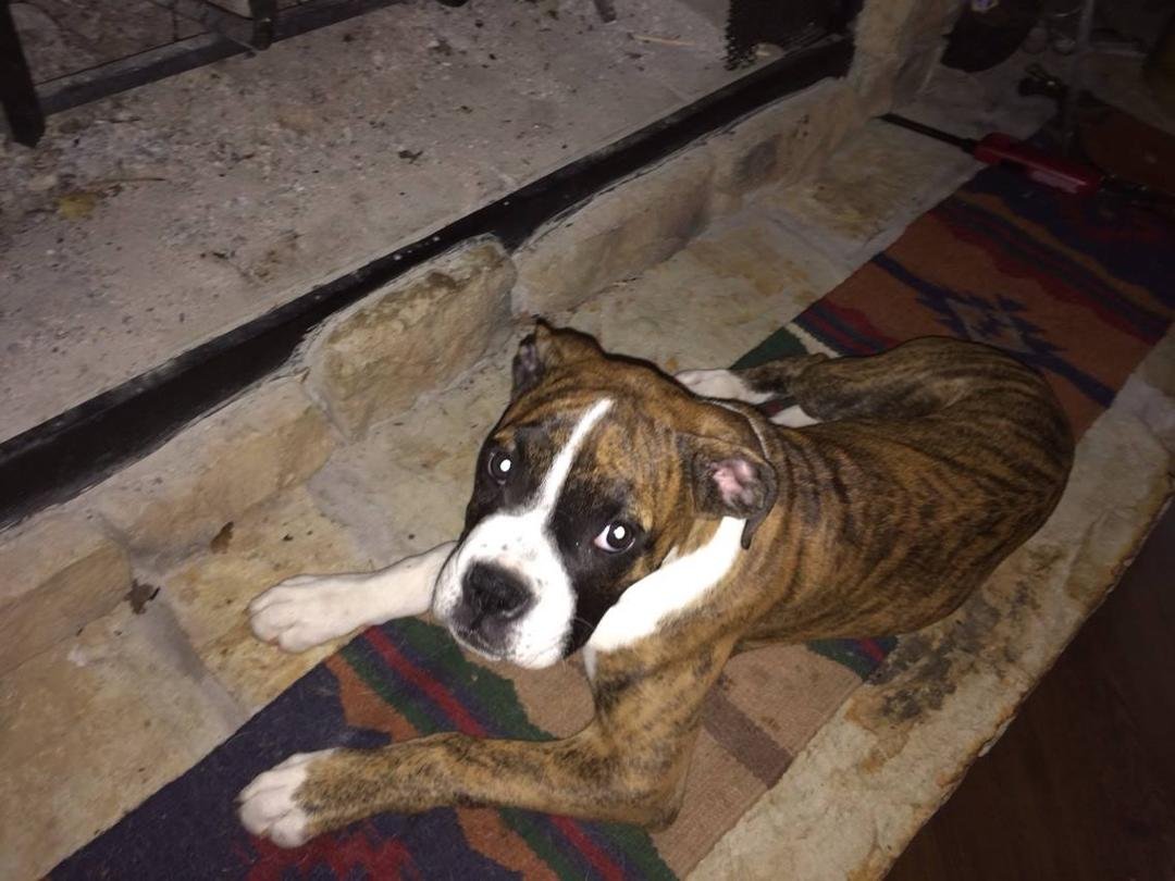 Ginger and Robert Patterson's album, Timeline photos
