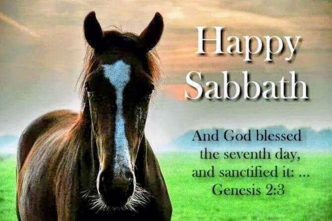 Happy blessed Sabbath to each and every one of you 🎶 💐 🙏 🕊️ 👑 🎚️ 💞