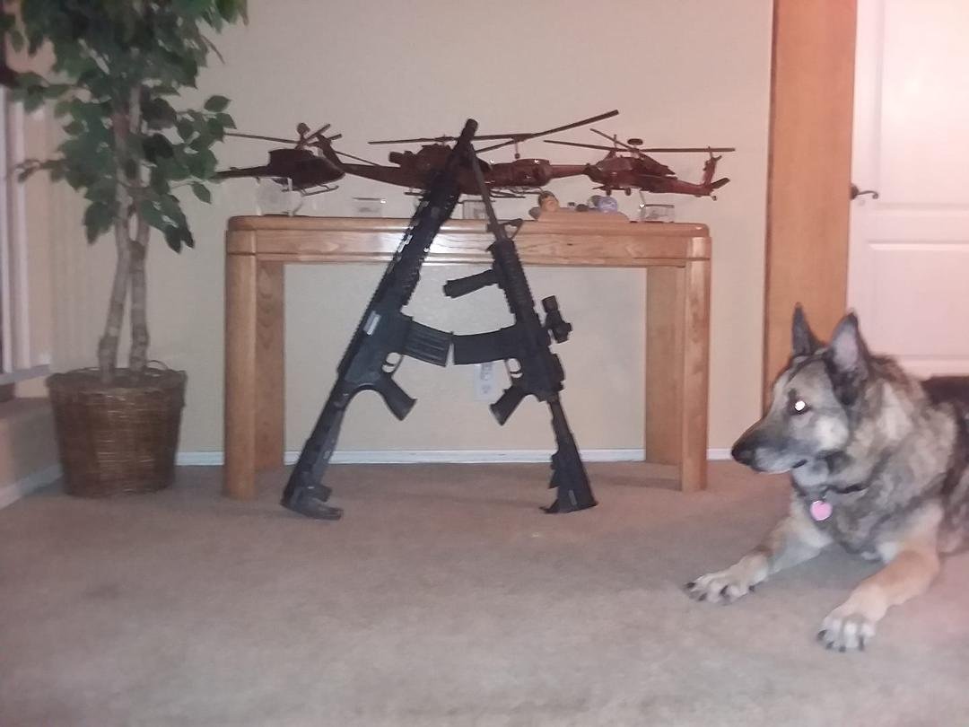 All you need. Weapons, Aircraft and a good dog. This will keep us free forever.