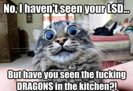 Stephen MacWhinnie's album, Timeline Photos