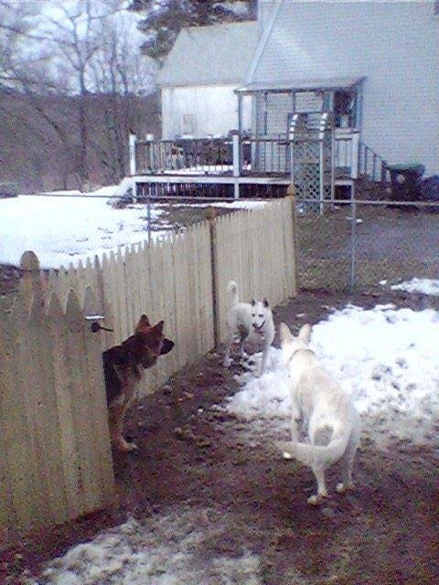 Joseph Hamner's album, Timeline Photos