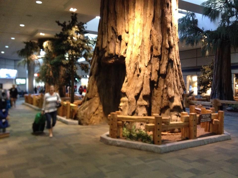 Karen mason

This is the lobby in Yosemite international airport in Fresno ca.

My hometown