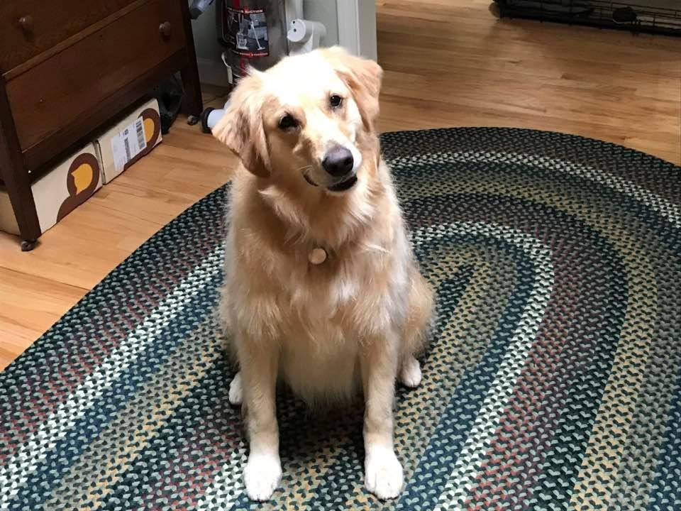 Sugar keeping our spirits happy