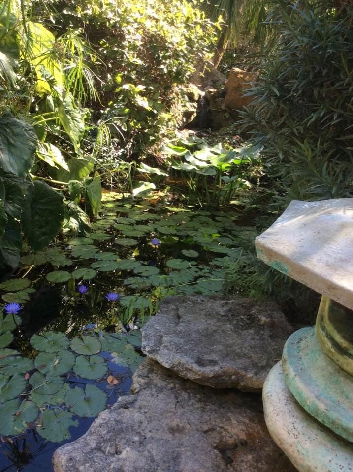 Alice Mow's album, Timeline Photos