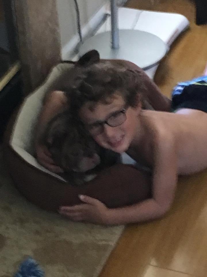 Nancee Fine's album, Mobile Uploads