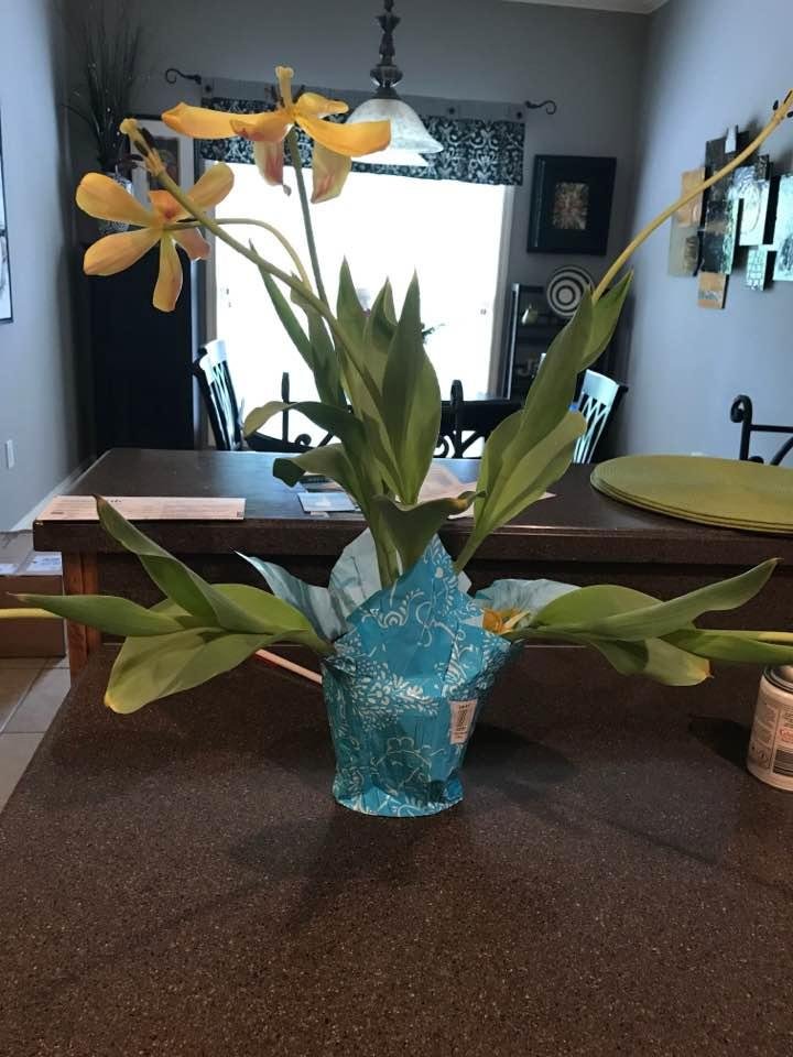 OK all you master gardeners what can I do with these tulips