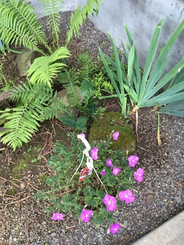 Melva Minier's album, Timeline Photos