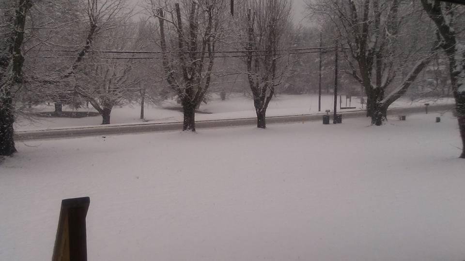 Tamara Matteson's album, Timeline Photos